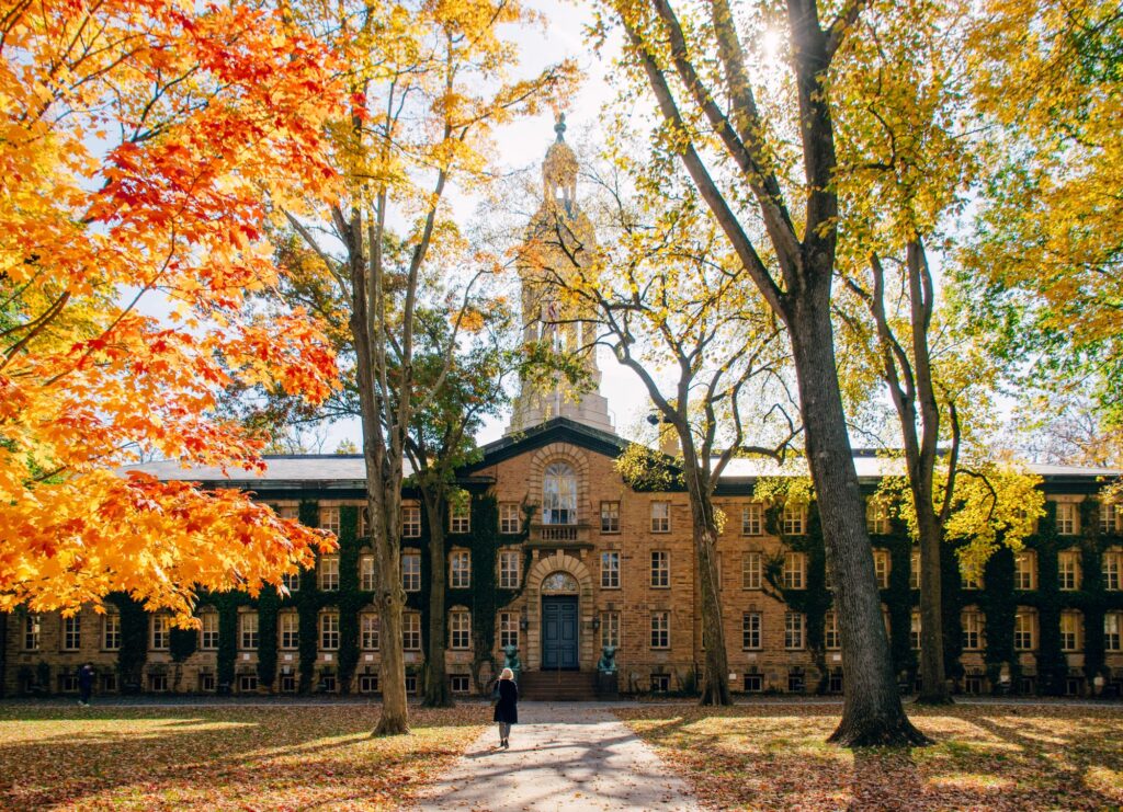 an educational institution surrounded by autumn leaves on trees